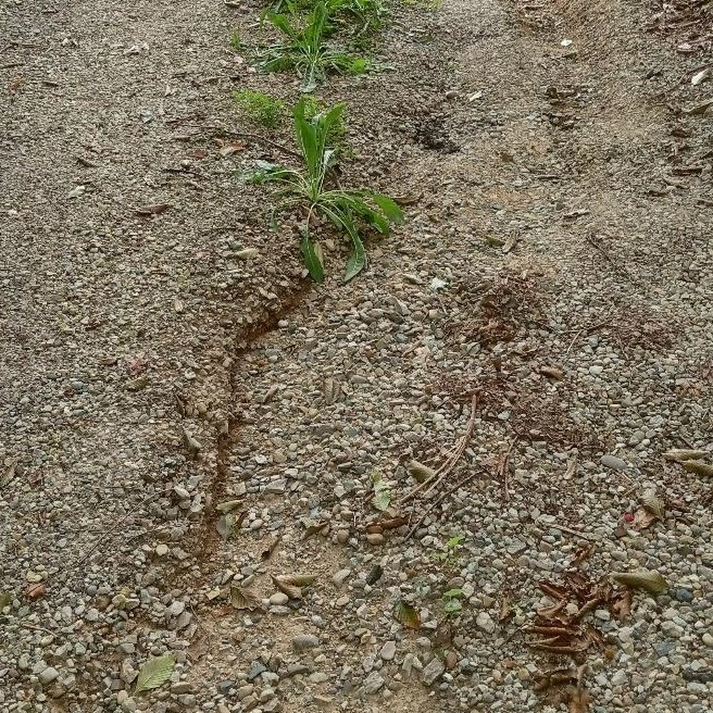 Iron Cross Excavation - Damage done by heavy rain. - Excavation Services Near Me Iron Cross Excavation - Damage done by heavy rain. - Excavation Services Near Me
