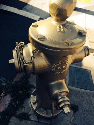 The Golden Fire Hydrant by null