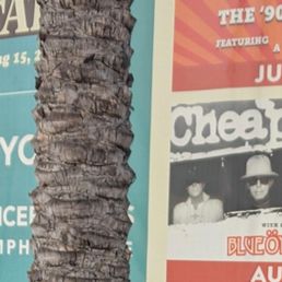 Over cropped photo (trying to get us out of the pic! lol) Cheap Trick concert Over cropped photo (trying to get us out of the pic! lol) Cheap Trick concert
