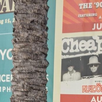 The Pacific Amphitheatre - Over cropped photo (trying to get us out of the pic! lol) Cheap Trick concert - Music Venues Near Me - Costa Mesa, California The Pacific Amphitheatre - Over cropped photo (trying to get us out of the pic! lol) Cheap Trick concert - Music Venues Near Me - Costa Mesa, California