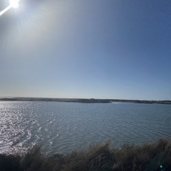 Port Aransas Nature Preserve