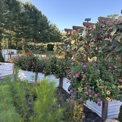 Day Dream Farm Winery - Butterfly garden