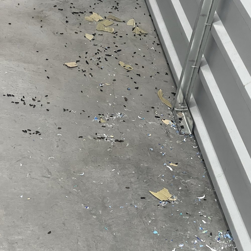 StorQuest Self Storage - More rats poop - Self Storage Near Me - San Jose, California StorQuest Self Storage - More rats poop - Self Storage Near Me - San Jose, California