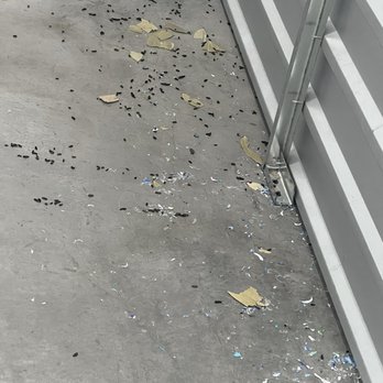 StorQuest Self Storage - More rats poop - Self Storage Near Me - San Jose, California