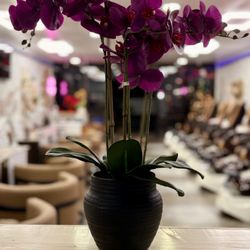 N & N Nail Spa