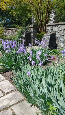 Marian Coffin Gardens at Gibraltar by null