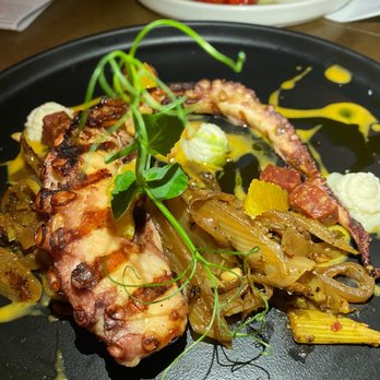 OLIVIA - Italian Near Me - Tampa, Florida OLIVIA - Italian Near Me - Tampa, Florida