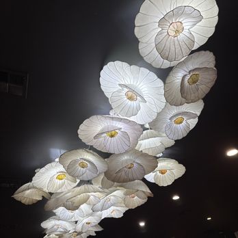 Master Oh's - Seafood Near Me - Santa Clara, California Master Oh's - Seafood Near Me - Santa Clara, California