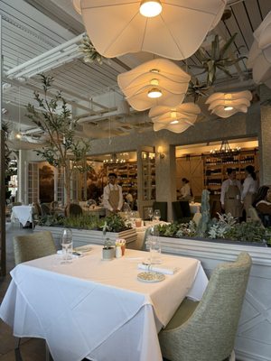 Succulent Fine Dining by null
