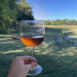Christine's Vineyard
