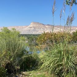 Avant Vineyards - View of Mt. Garfield