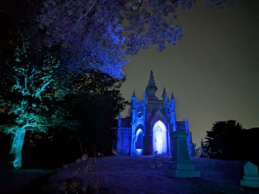 The Green-Wood Cemetery by null