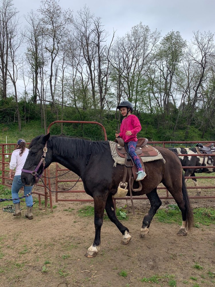 Hasenbeck Equestrian - equestrian in Largo, FL
