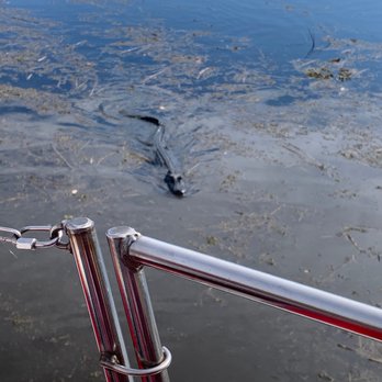 Airboat Adventures - Boat Tours Near Me - Lafitte, Louisiana