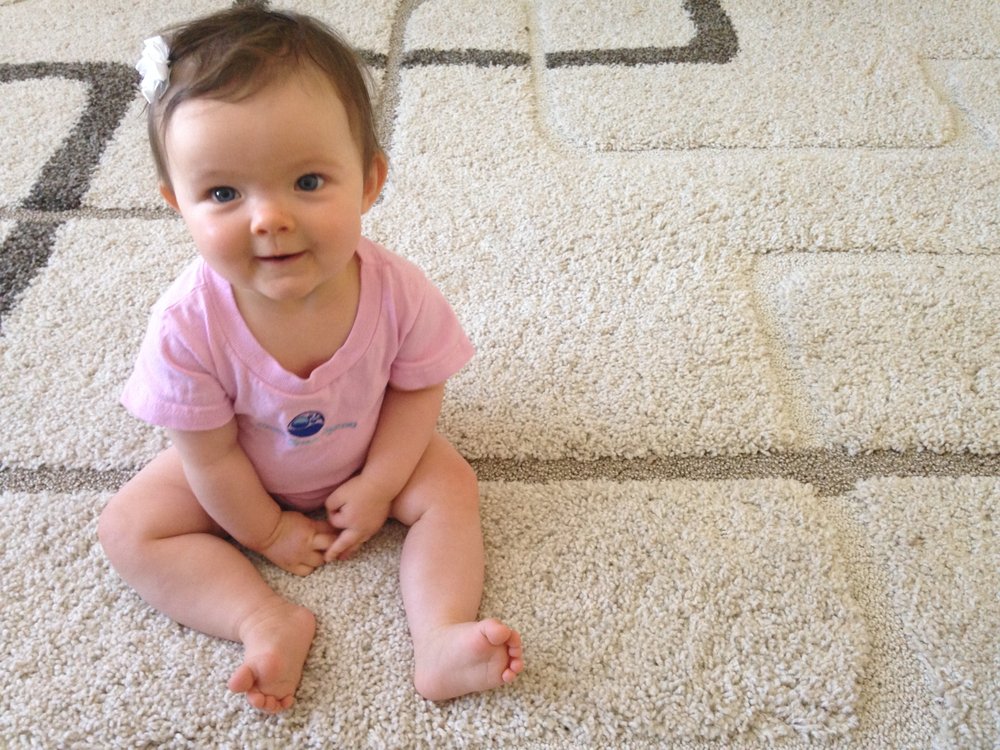 ELEVATED CLEANING SYSTEMS 12 Photos Sahuarita, Arizona Carpet