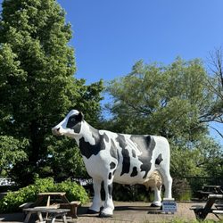Jilbert Dairy
