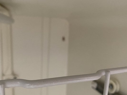 Stan White Realty & Construction