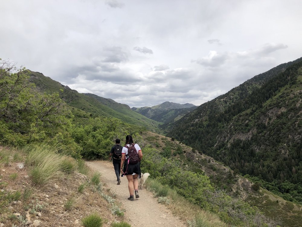 RATTLESNAKE GULCH TRAIL 27 Photos Millcreek Canyon Rd, Salt Lake