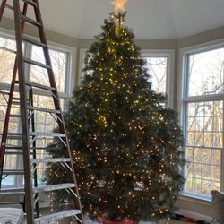 Rollie's Tree Farm - Our 13ft Christmas Tree!