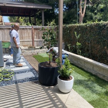 Vera Landscape - The Vera Landscape crew working hard! - Landscaping Near Me