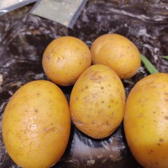 Hello Fresh - Small potatoes they want you to cut into wedges. - Food Delivery Services Near Me