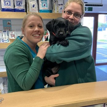 Lynwood Veterinary Group - Veterinarians Near Me - Bournemouth, DOR