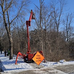 Ideal Tree Service - Removing hazard dead trees in Cedarburg wi