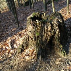 Löwenburg