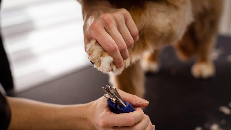 Aboite Boarding & Grooming - pet boarding facility in Fort Wayne, IN