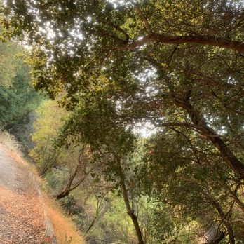 Murphy Ranch Trail - Hiking Near Me