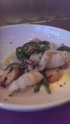 Current Fish and Oyster by null