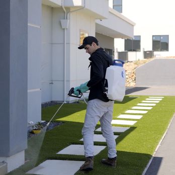 Master Pest Control - Spraying in El Dorado Hills - Pest Control Near Me Master Pest Control - Spraying in El Dorado Hills - Pest Control Near Me