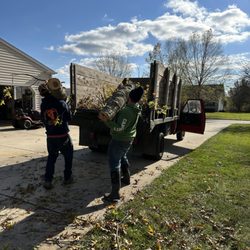 Marzka tree service