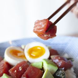 Ocean Code Handroll Bar