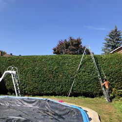 Hedge Honchos