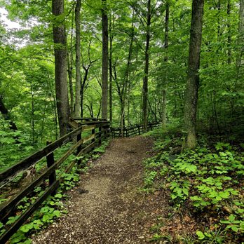 Spring Mill State Park - Walking trail - Parks Near Me - Mitchell, Indiana Spring Mill State Park - Walking trail - Parks Near Me - Mitchell, Indiana