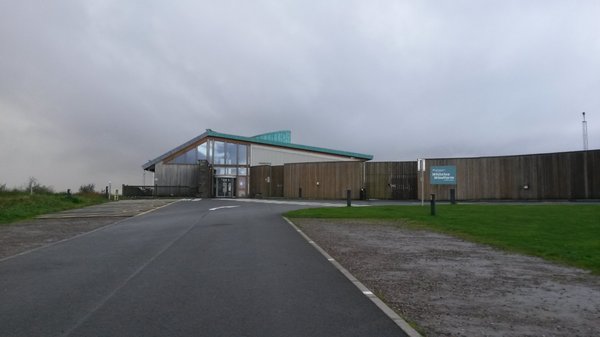 Whitelee wind farm by null