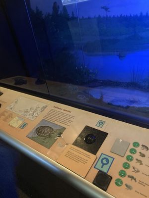 RMSC (Rochester Museum & Science Center) by null