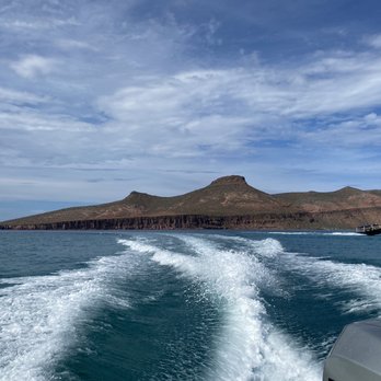 Cortez Expeditions - Scuba Diving Near Me - La Paz, BCS Cortez Expeditions - Scuba Diving Near Me - La Paz, BCS