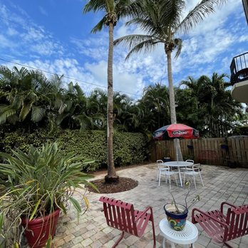 Touch Of Class Tree Service - The After pic: Trees now looking very healthy.... And no more coconuts to worry about falling in the backyard! - Tree Services Near Me Touch Of Class Tree Service - The After pic: Trees now looking very healthy.... And no more coconuts to worry about falling in the backyard! - Tree Services Near Me