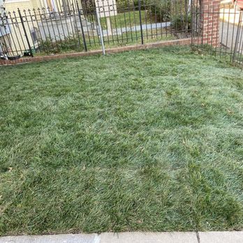 Bluegrass Landscaping & Tree Service - Tree Services Near Me Bluegrass Landscaping & Tree Service - Tree Services Near Me