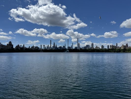 Jacqueline Kennedy Onassis Reservoir by null