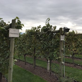 Tinhorn Creek - Good grassy area to enjoy your wine - Wineries Near Me - Oliver, British Columbia Tinhorn Creek - Good grassy area to enjoy your wine - Wineries Near Me - Oliver, British Columbia