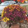 Parks Garden Center