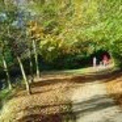 Hubbard Hills