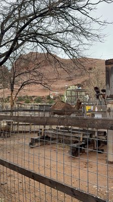 Hole 'N' The Rock by null