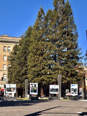 Old Courthouse Square by null