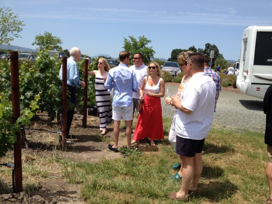 Savor Napa Valley Wine Tours by null
