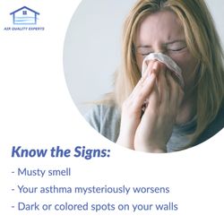 Air Quality Experts Mold Testing & Inspection
