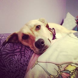 Luna, previously Jo Beth.